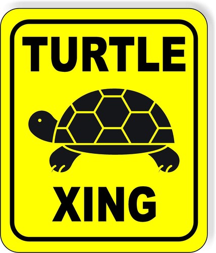 Turtle xing crossing safety - turtle,