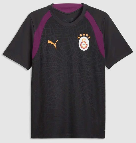 Puma galatasaray istanbul haut - galatasaray,