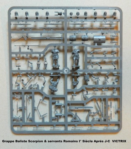 Victrix grappe baliste - grappe,