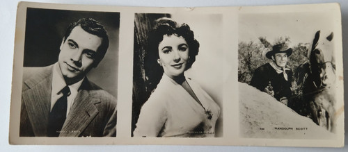 1950 chocolat cantaloup - chocolat,