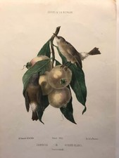 Album of The Meetings, Antoine