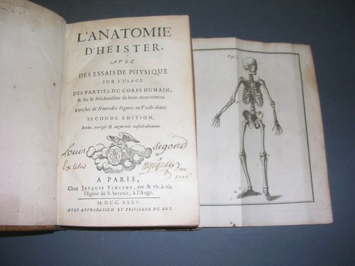 Médecine anatomie - médecine,