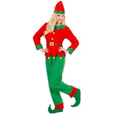 Costume elfe assistant du