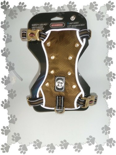 Harnais pour petit chien leds - harnais,
