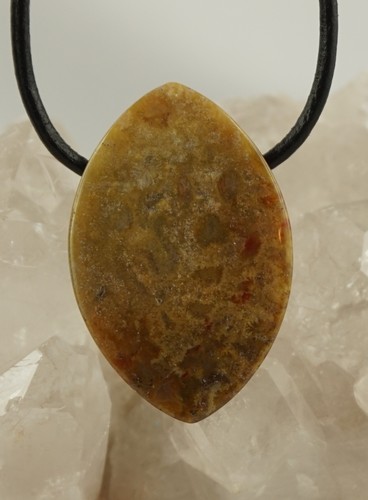 Corail fossile navette - fossile,