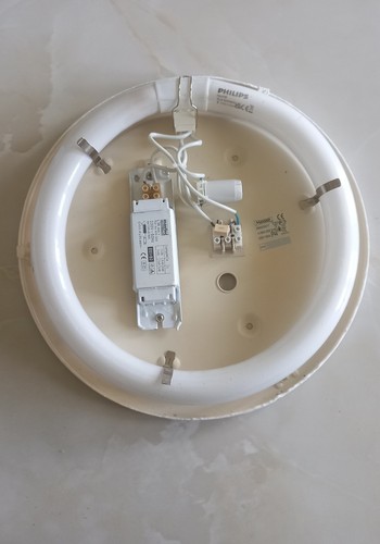 Néon tube circulaire philips - néon,