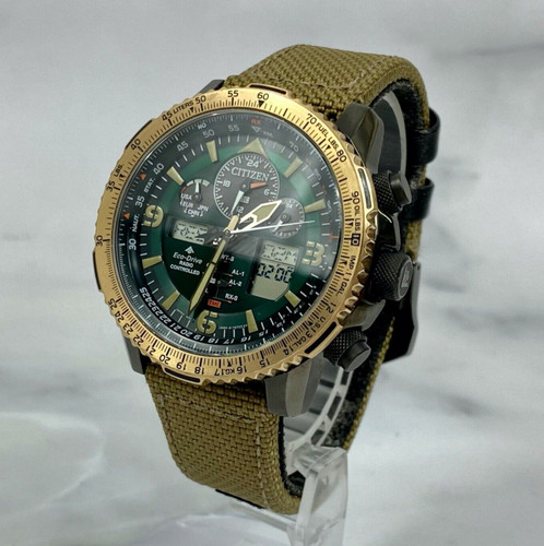 Citizen promaster world time - citizen,