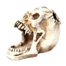  Pique-plume Porte Pinceau