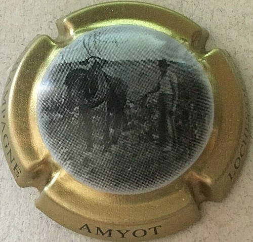 Capsule champagne amyot - de,