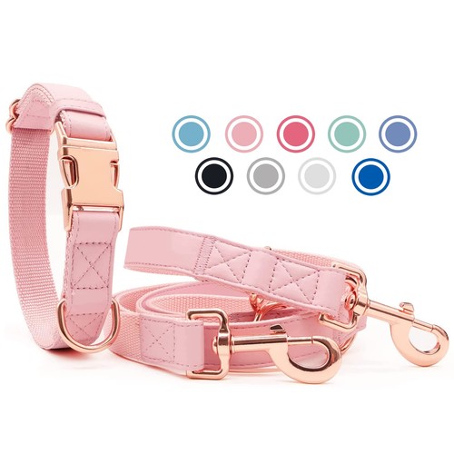 Collier chien laisse en - chien, et