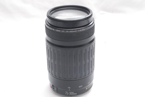 Objectif zoom canon - objectif, 75-300