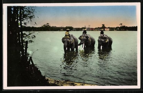 Carte postale trois - carte,