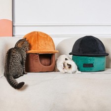 Cats de tunnel lit chat maison