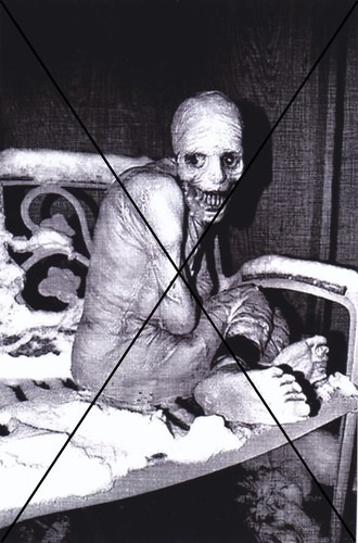 Curiosité oddities photo - :,