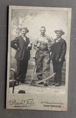 Photo cdv agriculture - agriculture, faux