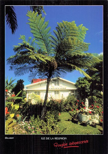 974 ile reunion ocean - ile,
