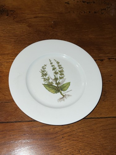 Rare assiette ancienne - rare, de