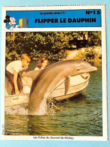 Tommy norden flipper the - tommy,