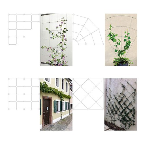 Support plante grimpante - support,