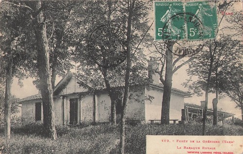 Foret gresigne 67823 - 81,