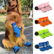 Chaussures De Chien Pour Petit