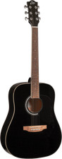 GUITARE ACOUSTIQUE EKO RANGER