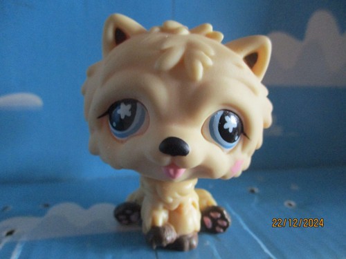 Petshop chien chow - chow, n°662