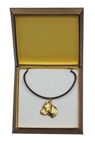 Amstaff type collier doré - type,