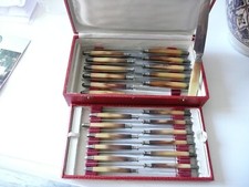 12 couteux à viande + 12