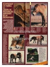 1984 DOCUMENT  (ref Cim