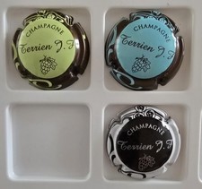  CAPSULES DE CHAMPAGNE  Jean François Terrien Grappe Couleur 