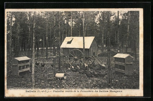 Cpa salbris poulailler - cpa, salbris,