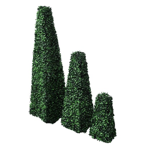 Lot topiaires pyramidales - 3,