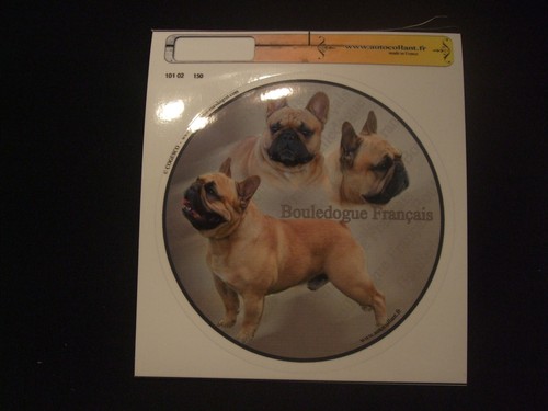 Autocollant motif chien - -,