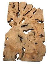 1X Racine D'Olive En Bois Pour