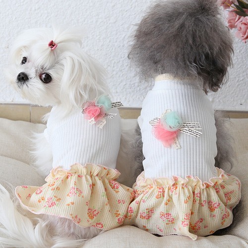 Pet vêtements chien chat - pet,