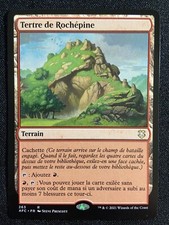 CARTE MAGIC RARE TERRAIN LÉGENDAIRE COMPÉTENCE UNIQUE MARQUEUR BOOST PIOCHE ET +