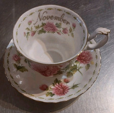 Tasse et Soucoupe a thé Porcelaine Royal Albert Flower of the Month Novembre