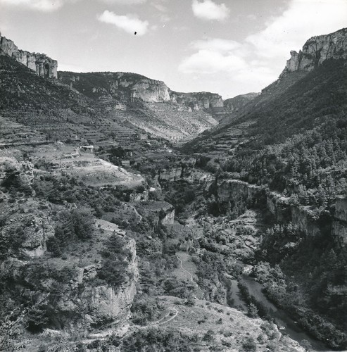 Gorges jontec 1960 - jontec.,
