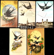 N° 808/42 -Lot de 5 Cpa