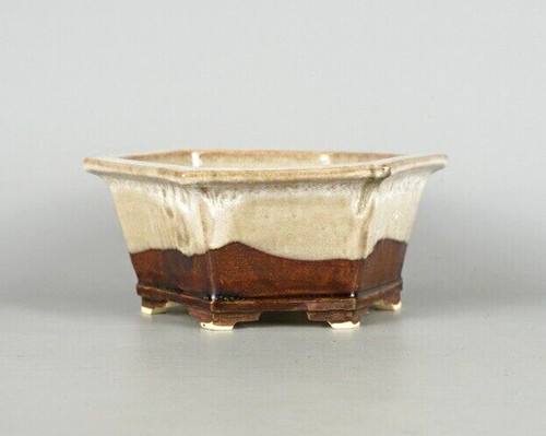 Pot bonsaï japonais - bonsaï, keiun