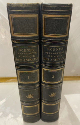 Scènes vie privée - scÈnes, la