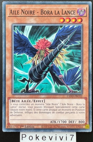 Carte aile noire - aile,
