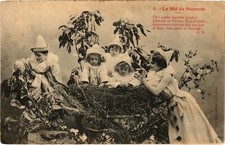 CPA AK 5. Le Nid de Pierrots