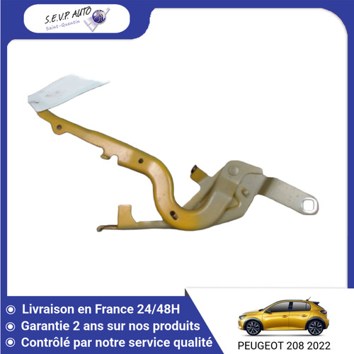 Compas gauche capot - 🇫🇷,