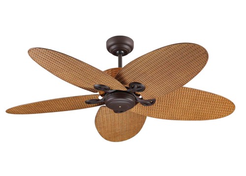 Ventilateur plafond avec