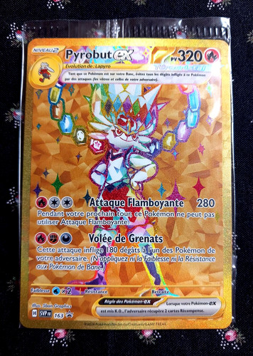 Cartes pokemon promo - cartes, black