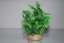 Aquarium Luxuriante Vert Plante Avec Base en Grès Et Diffuseur 6 x 14 CM