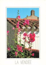 85 VENDEE UNE MAISON