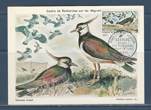 Carte 1er jour - jour,